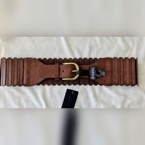 TORRID Dark Brown Belt